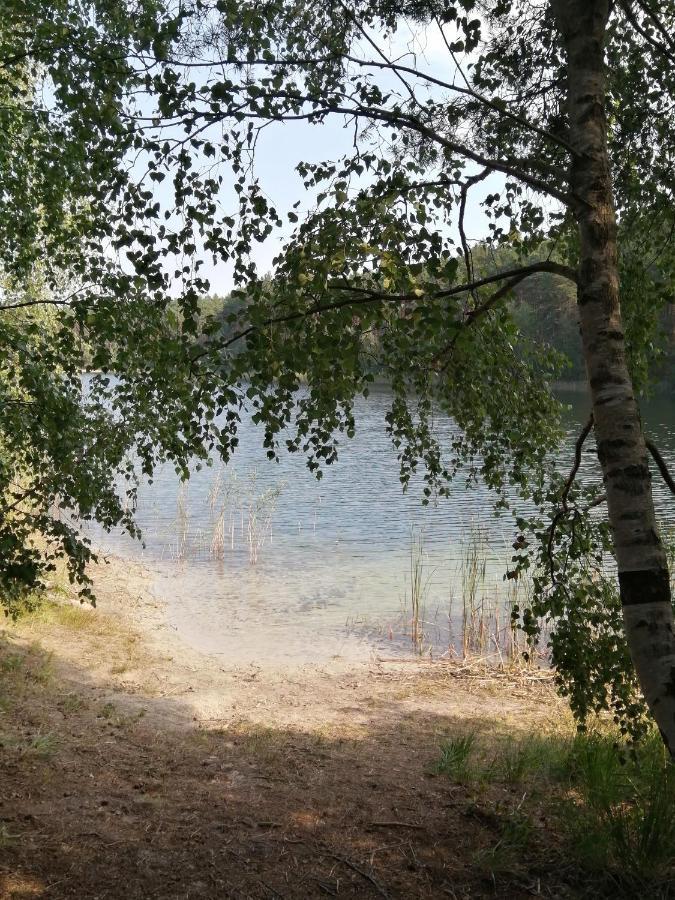 Spreewaldhaeuser Golinski Mit Kamin Am Neuendorfer See Alt Schadow 외부 사진