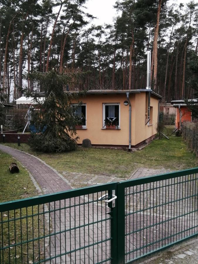 Spreewaldhaeuser Golinski Mit Kamin Am Neuendorfer See Alt Schadow 외부 사진